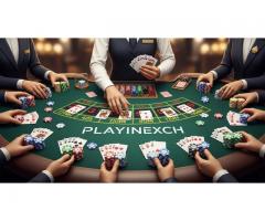 Enter the Ultimate World of playinexch